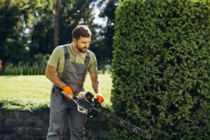 Read more about the article Outdoor Oasis: Creating Stunning Landscapes for Your Property